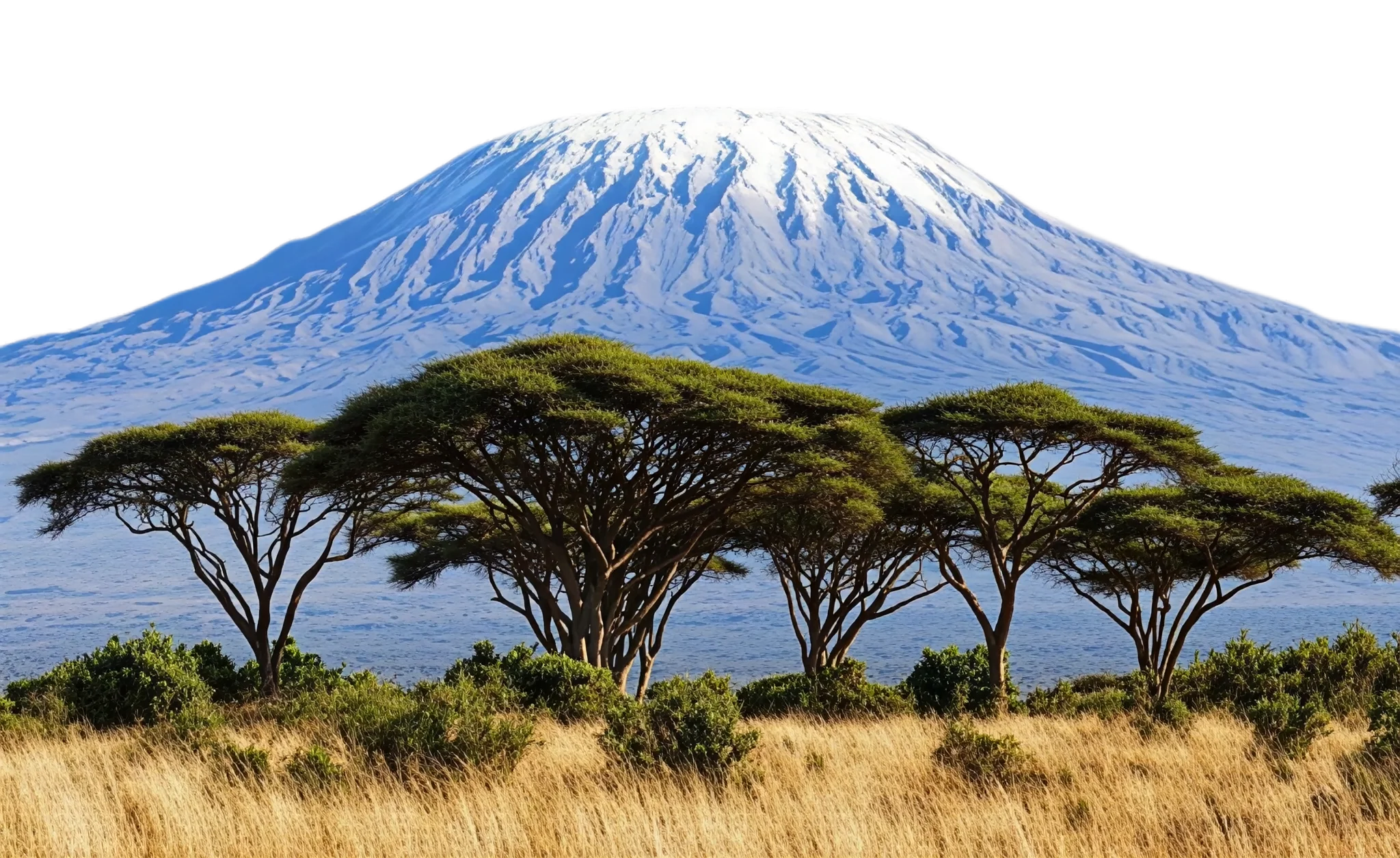 Mount Kilimanjaro snow peak